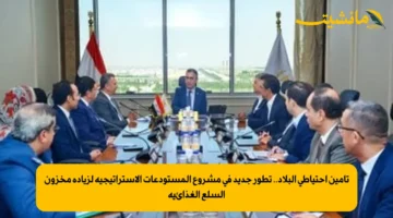 تأمين احتياطي البلاد.. تطور جديد في مشروع المستودعات الاستراتيجية لزيادة مخزون السلع الغذائية 2